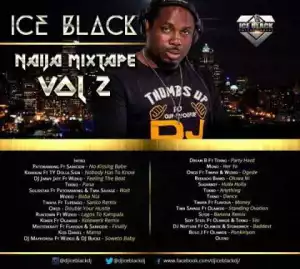 Dj Ice Black - Naija Mixtape vol 2